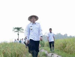 Dengan Teknologi BBM, Pringsewu jadi Lumbung Pangan Organik