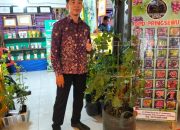 Dinas Pertanian Pringsewu Kembangkan Anggur Berbagai Jenis 