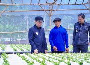 Pj.Bupati Pringsewu Tinjau Budidaya Pertanian Hydroponic di Pekon Margosari