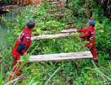 Membangun Harapan di Atas Sungai, Gubernur Lampung Gerakkan Gotong Royong Perbaiki Jembatan Viral Tampang Muda