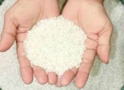 Pemkot Kembali Akan Salurkan Beras Bapanas