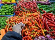 Harga Cabai Rawit Tinggi, Disdag Bandarlampung: Stok Aman