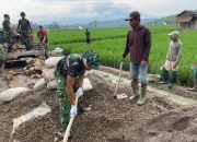 TMMD ke-127 Resmi Dibuka, Pesawaran Targetkan 666 Meter Jalan Rabat Beton